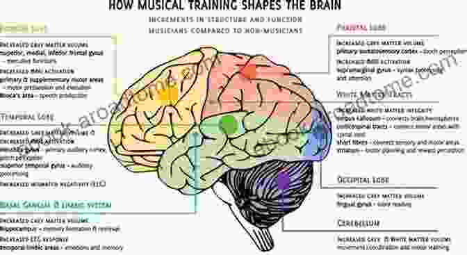 A Brain Scan Highlighting The Different Regions Of The Brain Involved In Cognition, Emotion, And Behavior. To Psychology: The Definitive Learning Guide