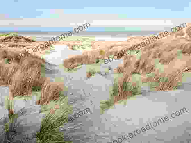 A Close Up Of Terschelling's Pristine Beach, With White Sands And Gently Lapping Waves The Island Of Terschelling: Discovers Current Society And The History Of Skylge: Sirens And Mermaids