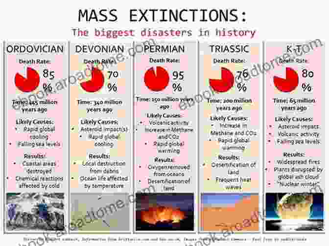 A Graphic Representation Of The Five Major Mass Extinctions That Have Occurred Throughout Earth's History. Fossils (DK Smithsonian Handbook)