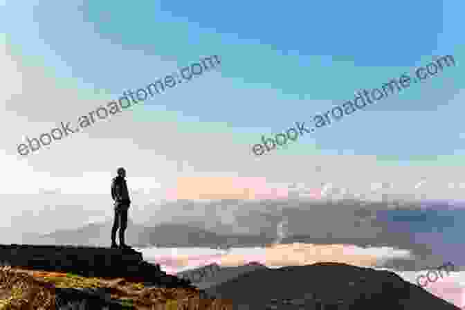 A Lone Traveler Standing On A Hilltop, Gazing Out At A Vast And Breathtaking Landscape. FUNCTIONAL ANATOMY: Threshold Picture Guide No 43 (Threshold Picture Guides)