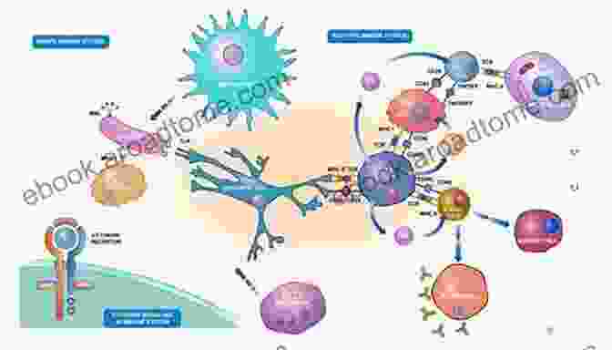 A Microscopic View Of The Immune System Fighting Off Pathogens Healthy Longevity And Immune System (Healthy Ageing And Longevity 16)