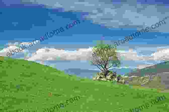 A Panoramic View Of A Rolling Green Hills Dotted With Trees Under A Vast Blue Sky Route 6 In Pennsylvania (Images Of Modern America)