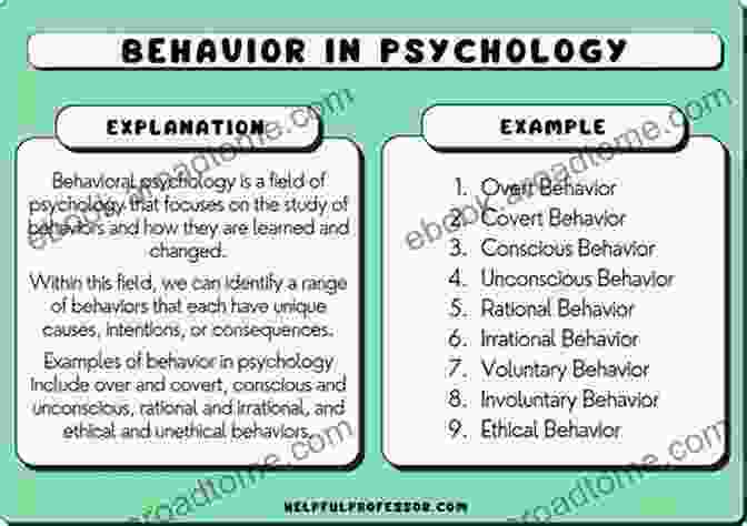 A Person Using Behavior Analysis To Study The Behavior Of Others. How To Analyze People