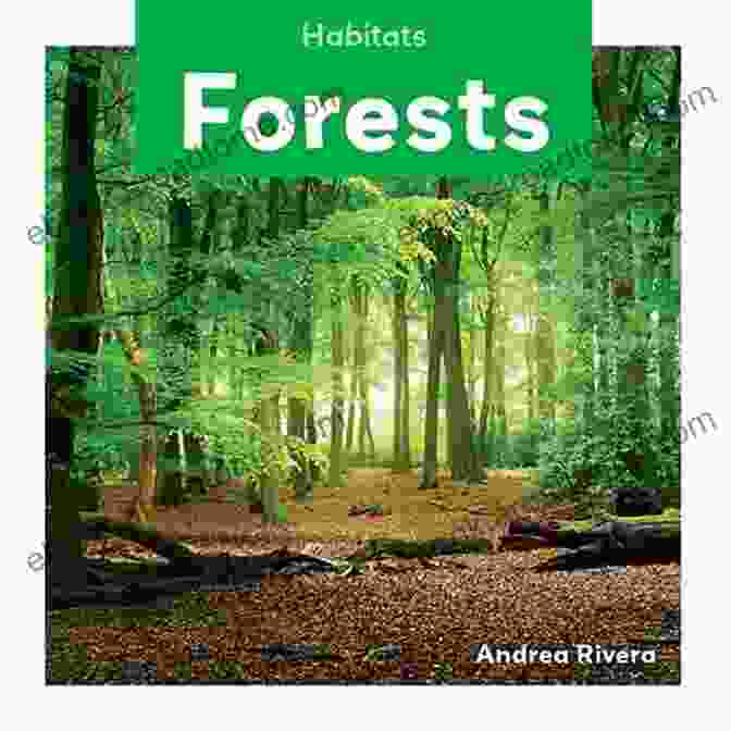 A Serene Image Of A Forest With A Book Titled 'Affirmations By Nature' Affirmations By Nature