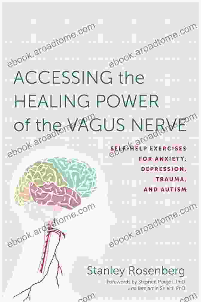 Accessing The Healing Power Of The Vagus Nerve Book Cover A Toned Vagus Nerve: How To Naturally Deal With Stress Anxiety Depression And Inflammation: Accessing The Healing Power Of The Vagus Nerve