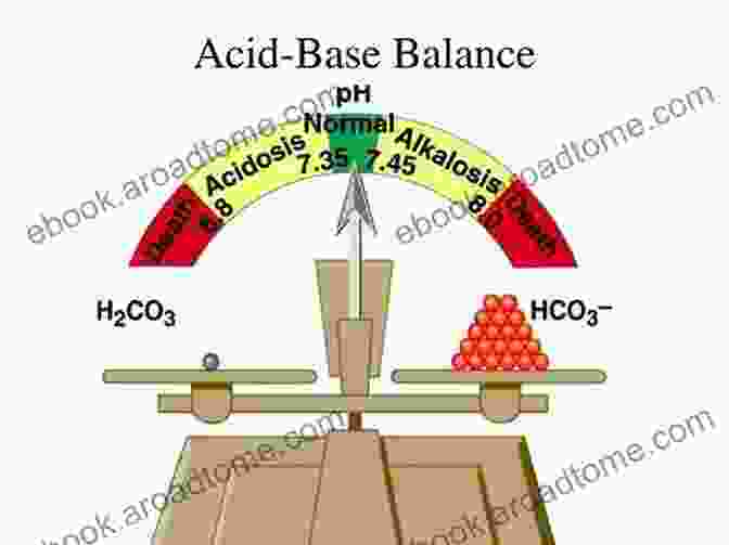 Acid Base Balance Diagram ABG Arterial Blood Gases Interpretation For Nurses : A 2024 Concise Guide To Interpret Arterial Blood Gases