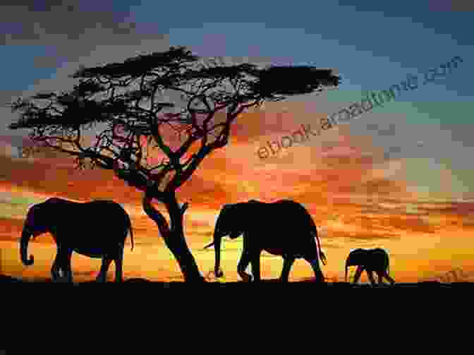 African Safari Scene With Elephants In The Foreground The Last Blank Spaces: Exploring Africa And Australia