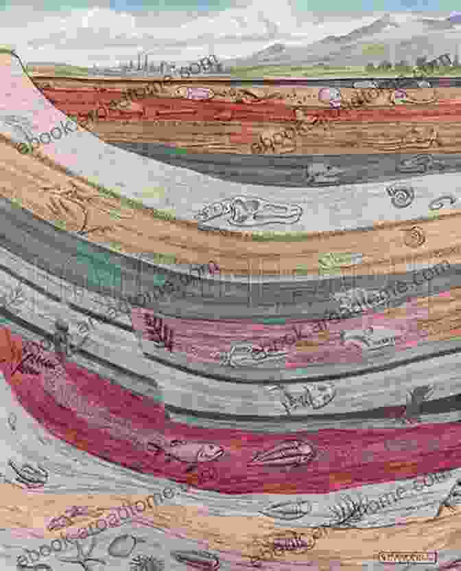 An Illustration Of The Layered Earth's Crust, Showing Various Fossil Bearing Strata. Fossils (DK Smithsonian Handbook)