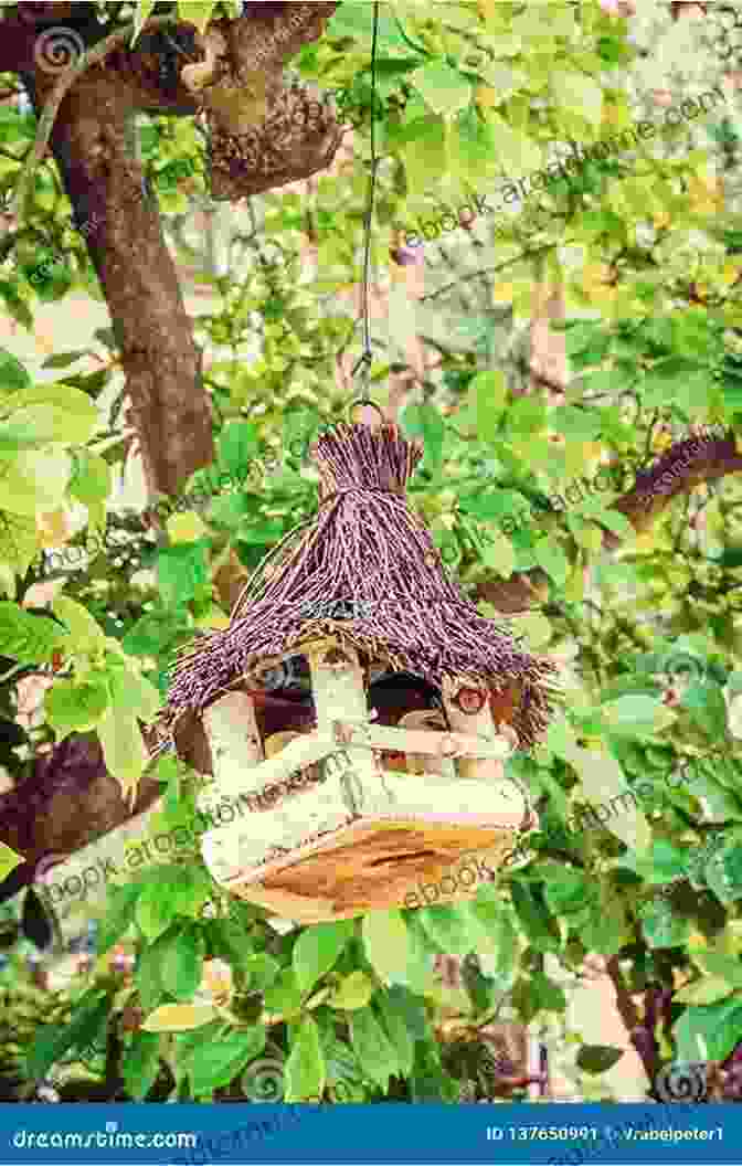 An Image Of A Wooden Birdhouse Hanging On A Tree Branch With A Small Bird Perched On The Entrance. Audubon Birdhouse Revised And Updated: Building Placing And Maintaining Great Homes For Great Birds