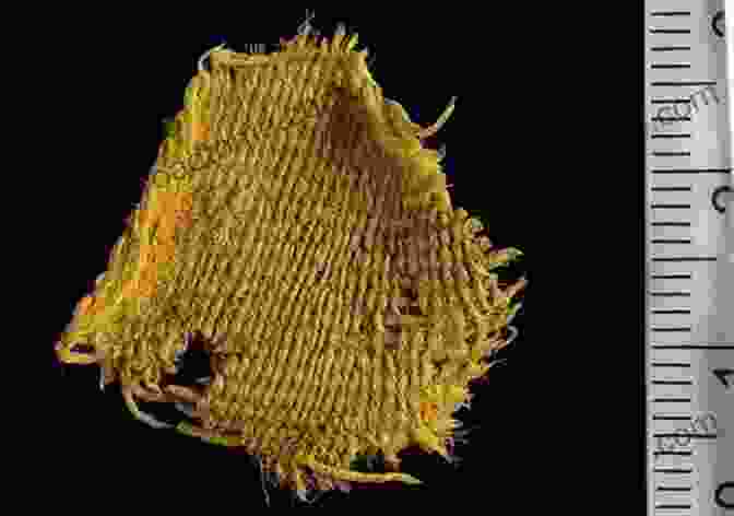 Archaeological Finds Of Wool Textiles Provide Evidence Of The Ancient Wool Economy Wool Economy In The Ancient Near East (Ancient Textiles 17)