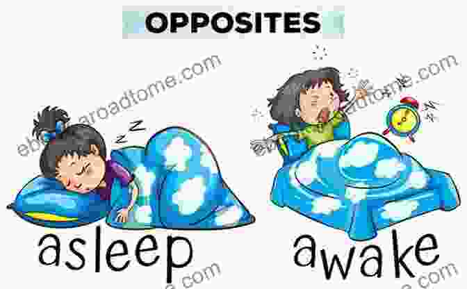 Awake And Asleep Pair I Want A Big Nose: A About Opposites (Early Learning)