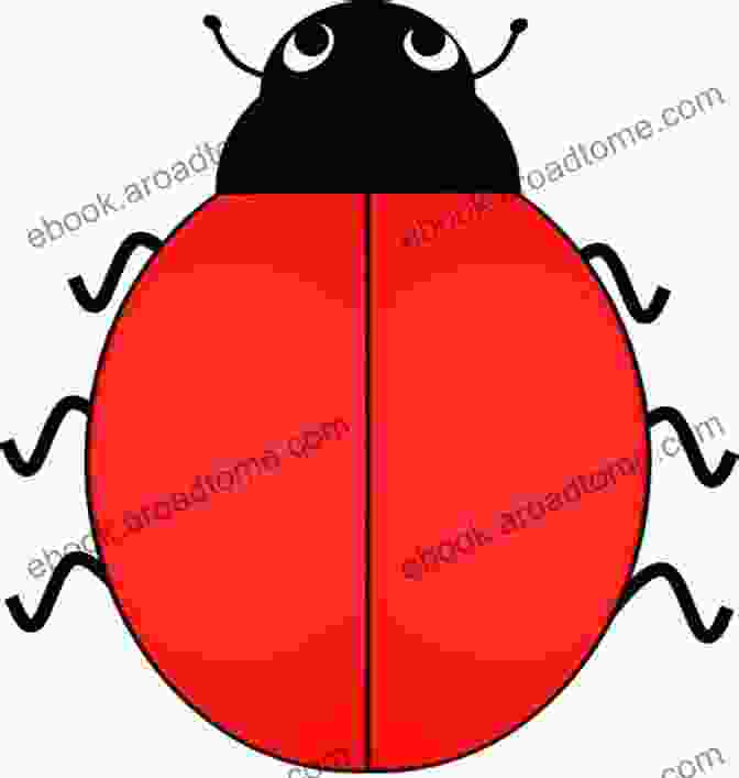 Book Cover Image Of 'The Ladybug Without Any Spots' The Ladybug Without Any Spots