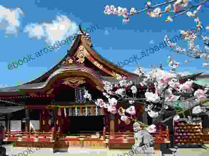 Children's Play Area At The Domyoji Tenmangu Shrine Plum Festival Photo Album Domyoji Tenmangu Shrine Plum Festival 6