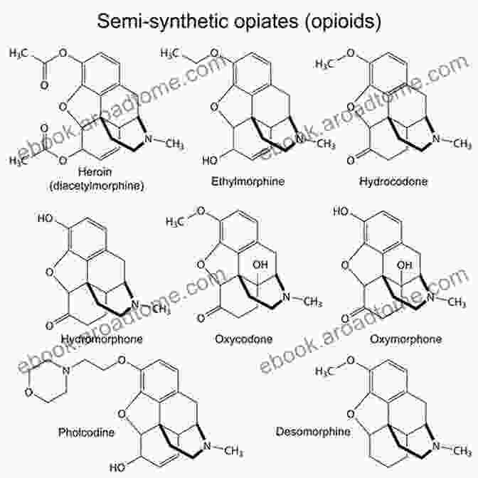 Complex Molecular Structure Of Opioids Advances In Endogenous And Exogenous Opioids: Proceedings Of The International Narcotic Research Conference (Satellite Symposium Of The 8th International Held In Kyoto Japan On July 26 30 1981