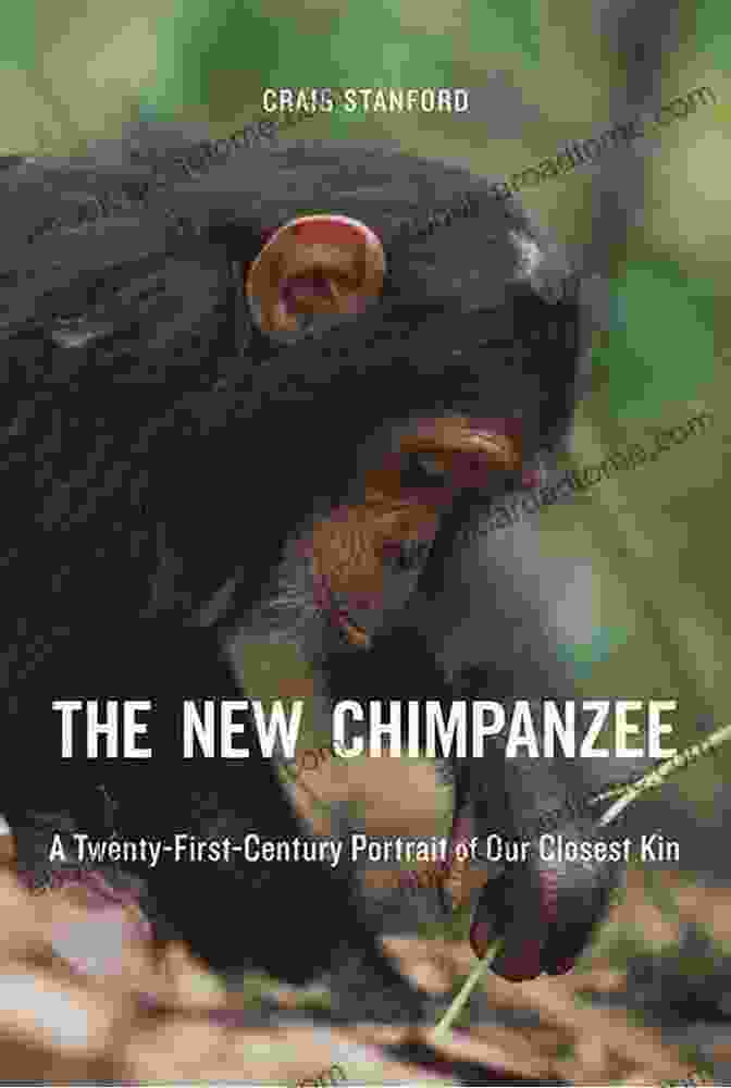 Cover Image Of The Book 'Twenty First Century Portrait Of Our Closest Kin' The New Chimpanzee: A Twenty First Century Portrait Of Our Closest Kin