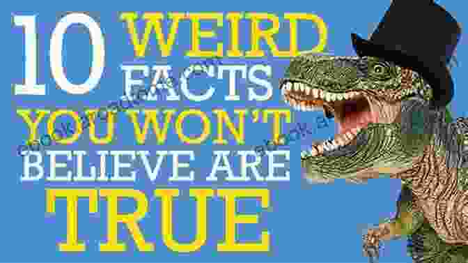 Crazy Fact Book Interesting Fact Book: : 600 Crazy Facts You Don T Believe Are True