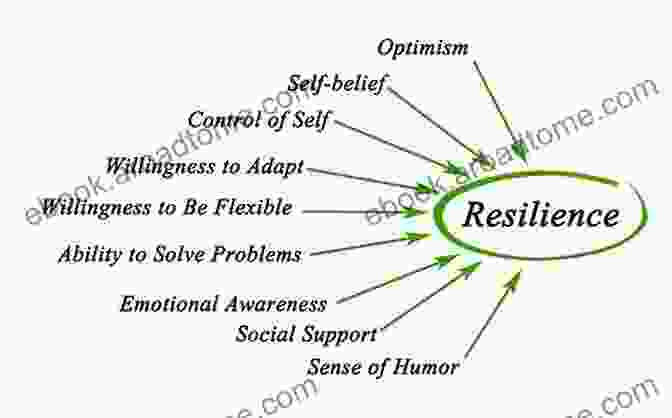 Cultivate Emotional Resilience And Self Awareness A Relationship With A Narcissist: Develop Emotional Intelligence After Narcissistic Abuse