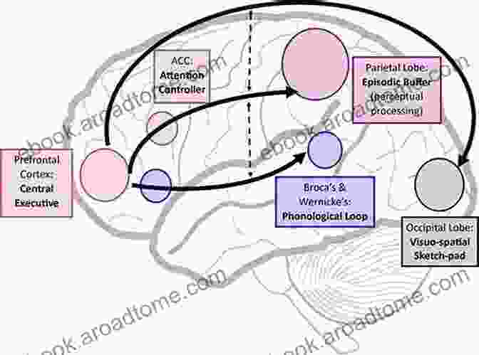 Diagram Illustrating The Social Cognitive Processes Of Perception, Attention, Memory, And Judgment Perspectives On Activity Theory (Learning In ng: Social Cognitive And Computational Perspectives)