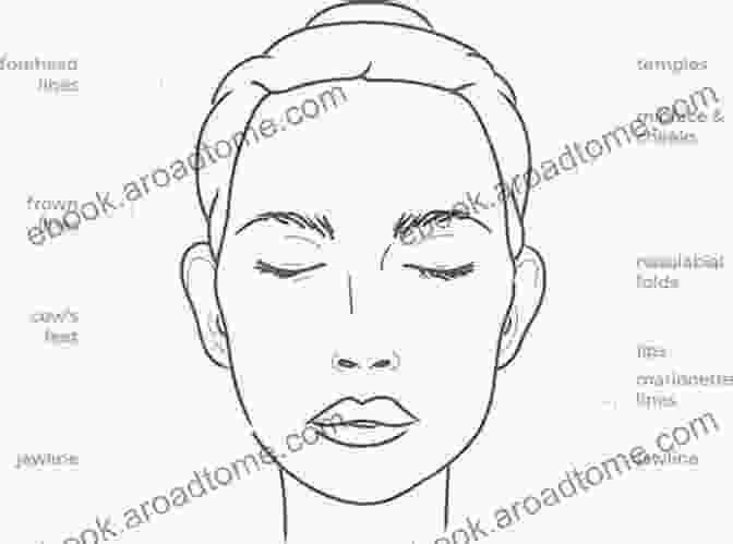 Diagram Showing A Combination Of Different Facial Aesthetic Treatments The Art Of Facial Aesthetics