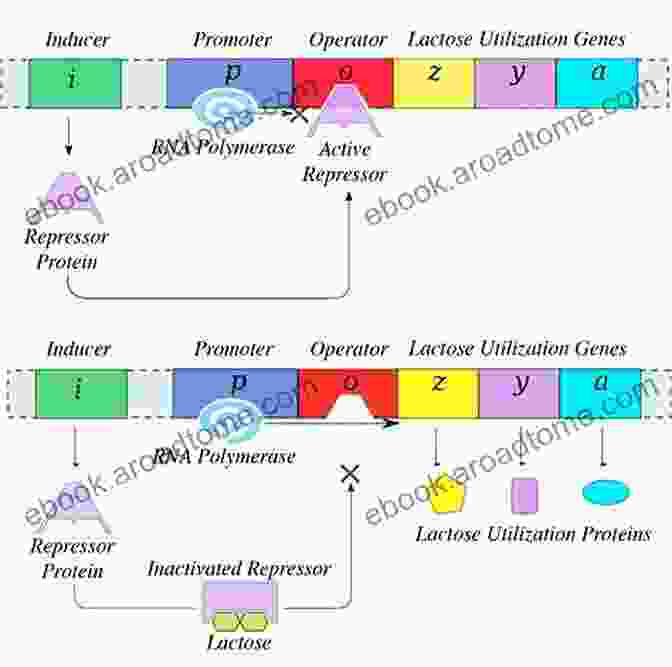 Early Messaging System The First Gene: The Birth Of Programming Messaging And Formal Control