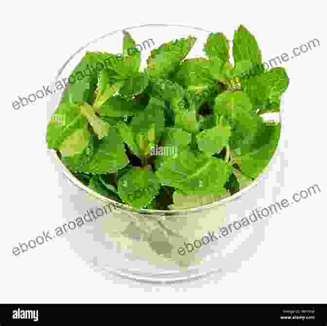 Fresh Peppermint Leaves In A Bowl Secret Home Remedies YOU Didn T Know