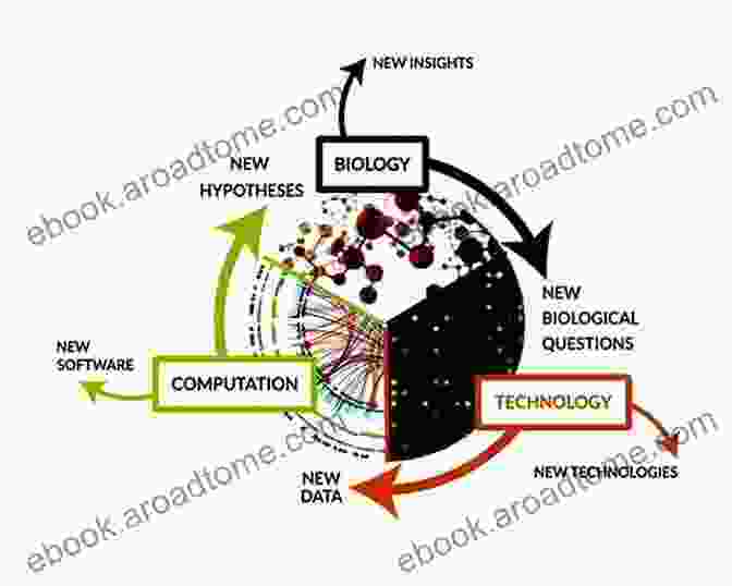 Graphical Representation Of A Computational Model, Highlighting Its Predictive Capabilities Perspectives On Activity Theory (Learning In ng: Social Cognitive And Computational Perspectives)