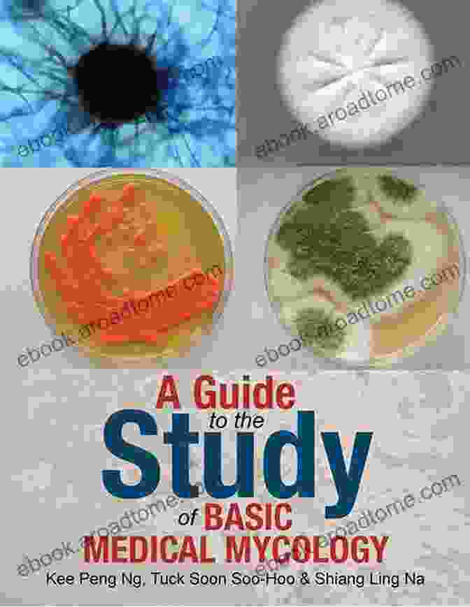 Guide To The Study Of Basic Medical Mycology Book Cover Featuring A Microscopic View Of Fungal Hyphae A Guide To The Study Of Basic Medical Mycology