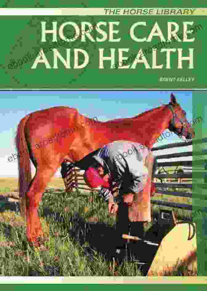 Horse Health Care And Management Book Cover Understanding Laminitis: Your Guide To Horse Health Care And Management