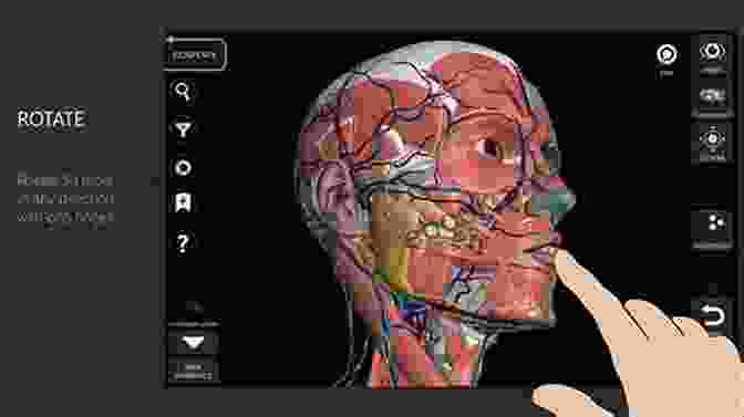 Illustration Showcasing The Use Of The Atlas In Anatomy Education Colour Atlas Of Human Anatomy Lower Limb