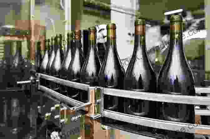 Image Of Kosher Wine Production Process, From Grape Harvesting To Bottling Art Of Kosher Wine Making