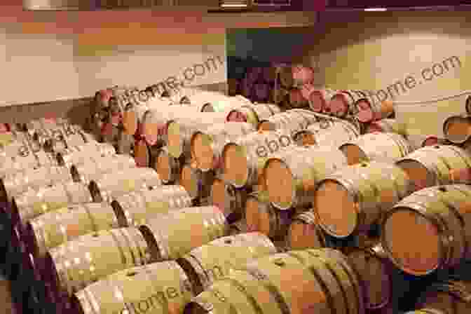 Image Of Wine Barrels Aging In A Cellar Art Of Kosher Wine Making