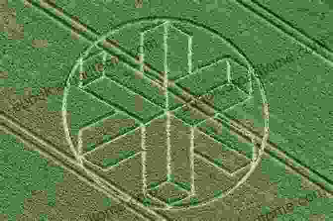 Men In Black Investigating A Crop Circle Formation Men In Black (Picturing History)