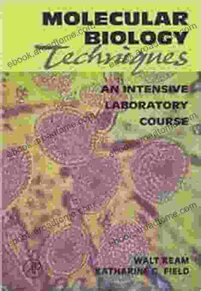 Personalized Learning Molecular Biology Techniques: An Intensive Laboratory Course