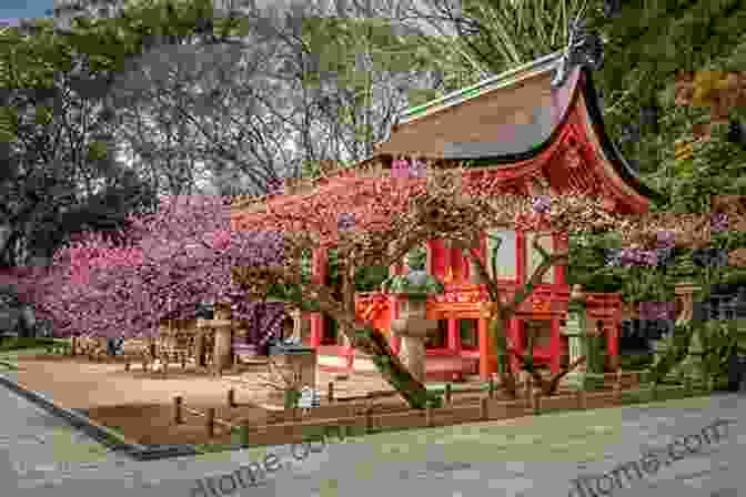 Plum Blossoms In Full Bloom At The Domyoji Tenmangu Shrine Plum Festival Photo Album Domyoji Tenmangu Shrine Plum Festival 6