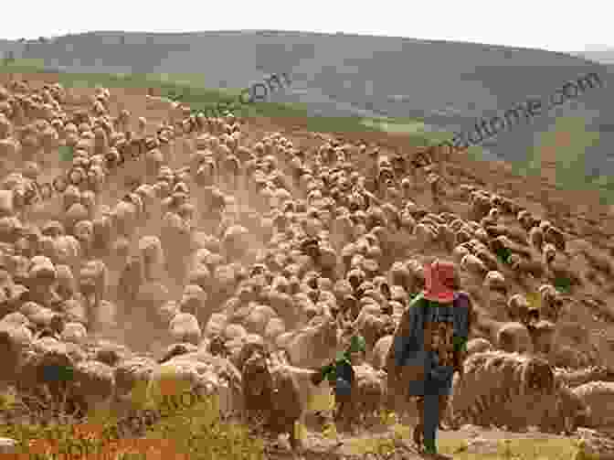 Sheep Herding In The Ancient Near East Wool Economy In The Ancient Near East (Ancient Textiles 17)