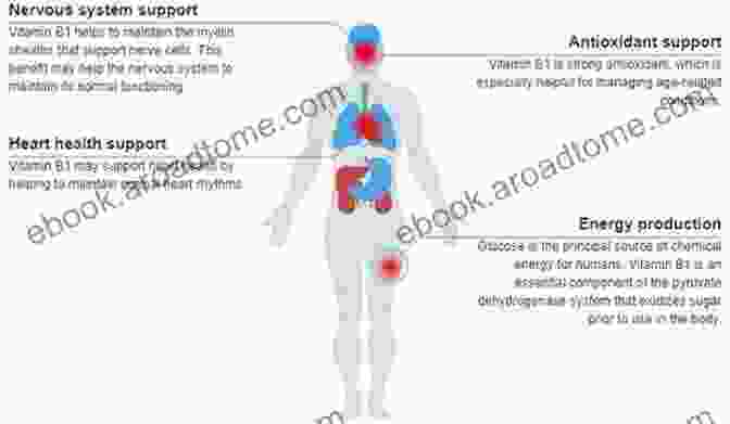 Thiamine (Vitamin B1) Molecule, Essential For Energy Metabolism And Nervous System Function During Stress Response. BASIC GUIDE TO VITAMINS FOR STRESS RELIEF: Everything You Need To Know On How Vitamins Relieve Stress