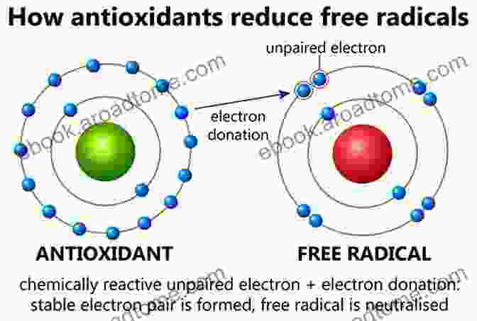 Tocopherol (Vitamin E) Molecule, An Antioxidant That Protects Cells From Damage Caused By Free Radicals. BASIC GUIDE TO VITAMINS FOR STRESS RELIEF: Everything You Need To Know On How Vitamins Relieve Stress