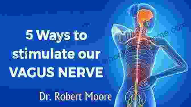 Vagus Nerve Activation Techniques For Beginners Vagus Nerve: Activation Guidances For Newbies