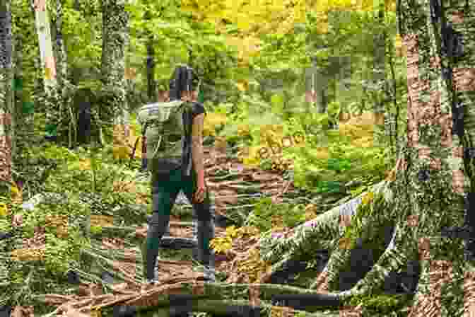 Woman Hiking In A Lush Forest Happiness Ingredients: Happy Life