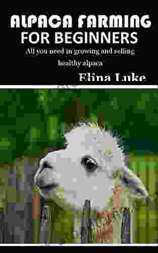 ALPACA FARMING FOR BEGINNERS: All You Need In Growing And Selling Healthy Alpaca