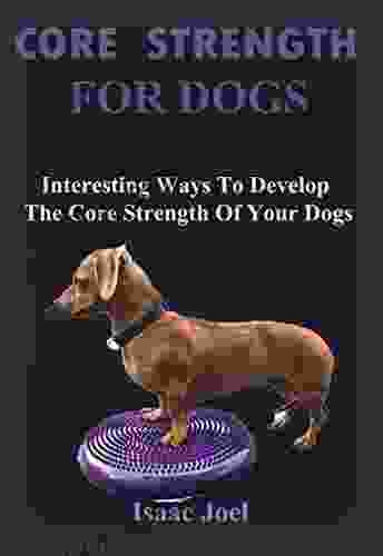 Core Strength For Dogs: Interesting Ways To Develop The Core Strength Of Your Dogs