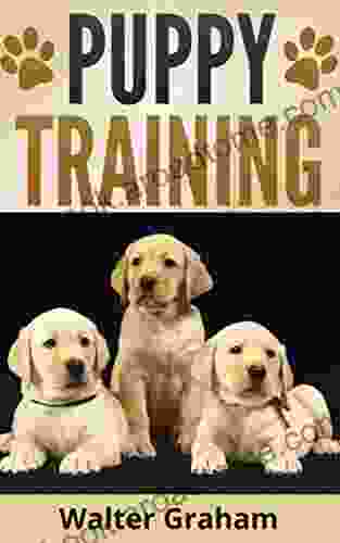 Puppy Training: A Step By Step Guide To Raising The Perfect Dog With Love