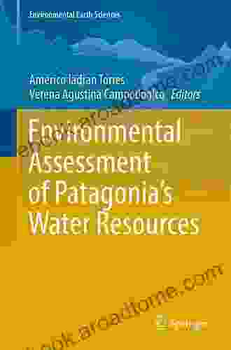 Environmental Assessment Of Patagonia S Water Resources (Environmental Earth Sciences)