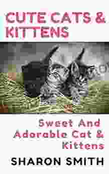 Cute Cats And Kittens: Sweet And Adorable Cats And Kittens To Cuddle And Love