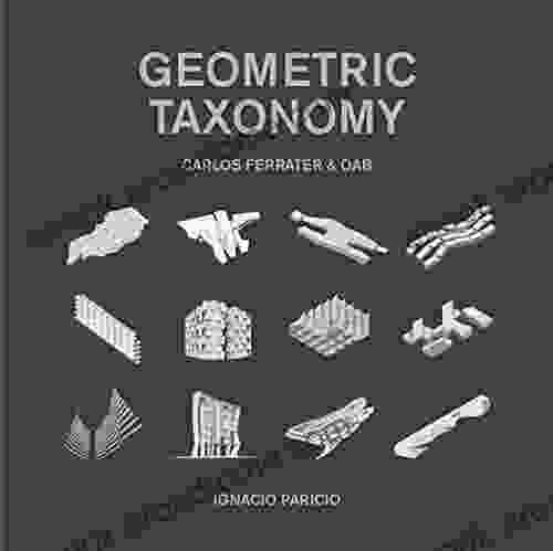 Geometric Taxonomy: Carlos Ferrater OAB