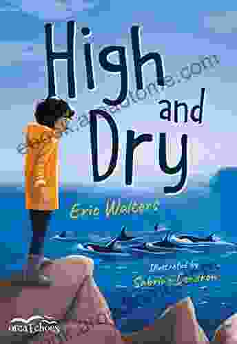 High And Dry (Orca Echoes)