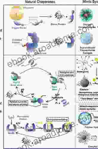 Structure And Action Of Molecular Chaperones: Machines That Assist Protein Folding In The Cell (Series In Structural Biology 6)