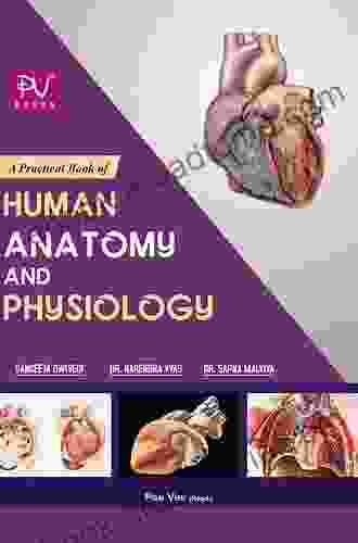 Microneuroanatomy And Surgery: A Practical Anatomical Guide