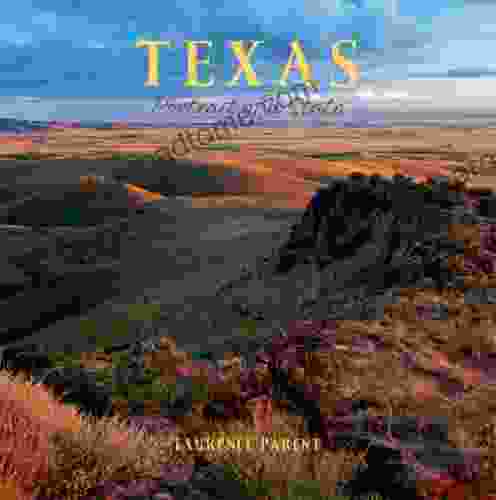 Texas: Portrait Of A State (Portrait Of A Place)