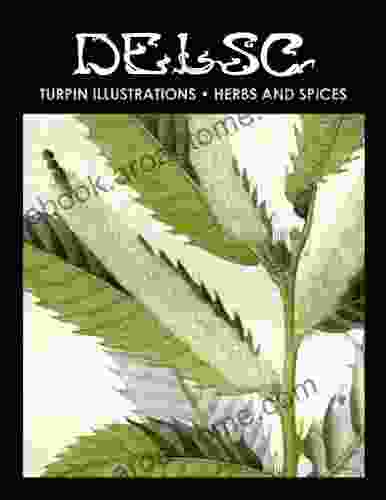 Turpin Illustrations Herbs and Spices